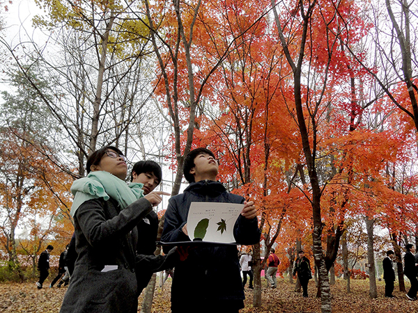 JICA北海道（帯広）（課題別研修）「地域住民の参加による持続的な森林管理」コース
